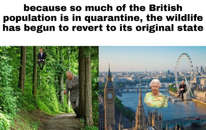 Nature-Healing-Quarantine-Jokes