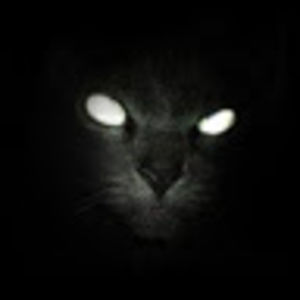 shannamcnally avatar