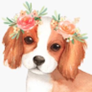 catherineburkett avatar