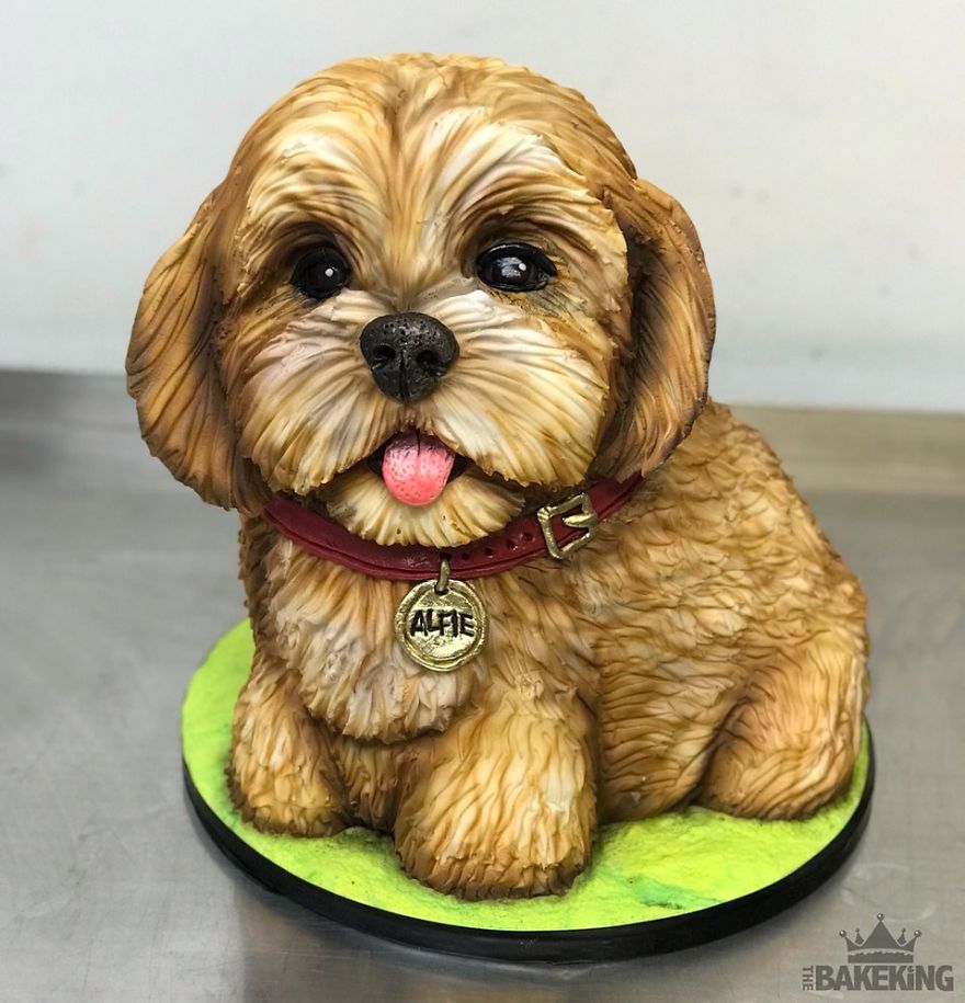 Confusing-Confectionery