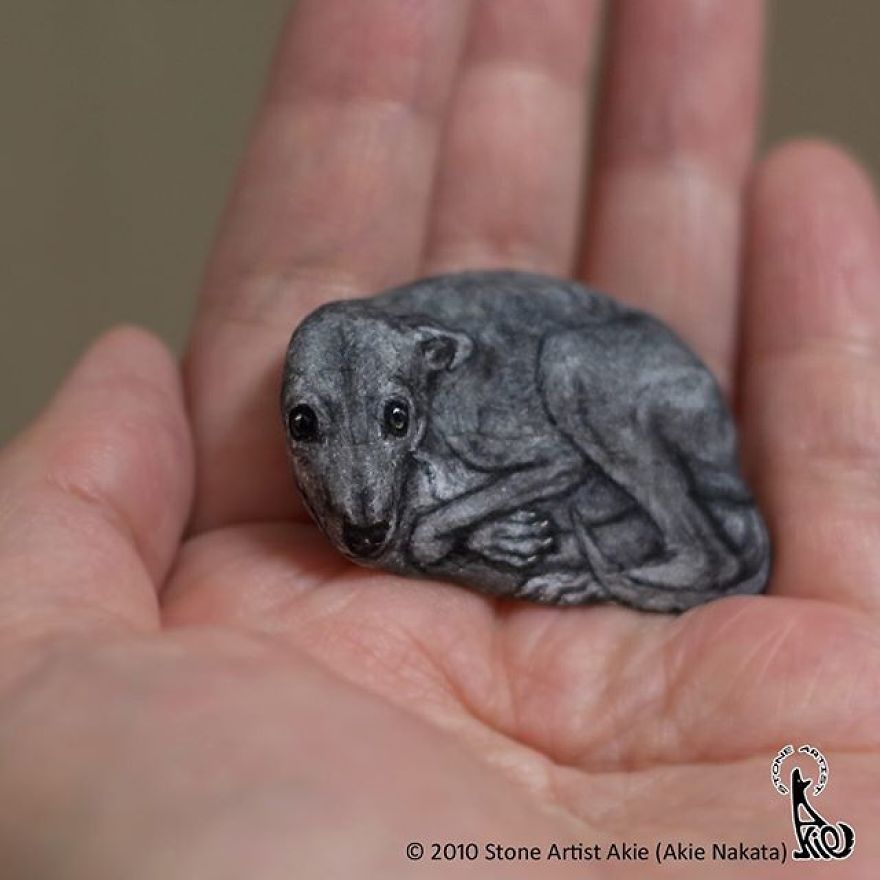 This Japanese Artist Turns Stones Into Art And The Result Is Incredible (New Pics)