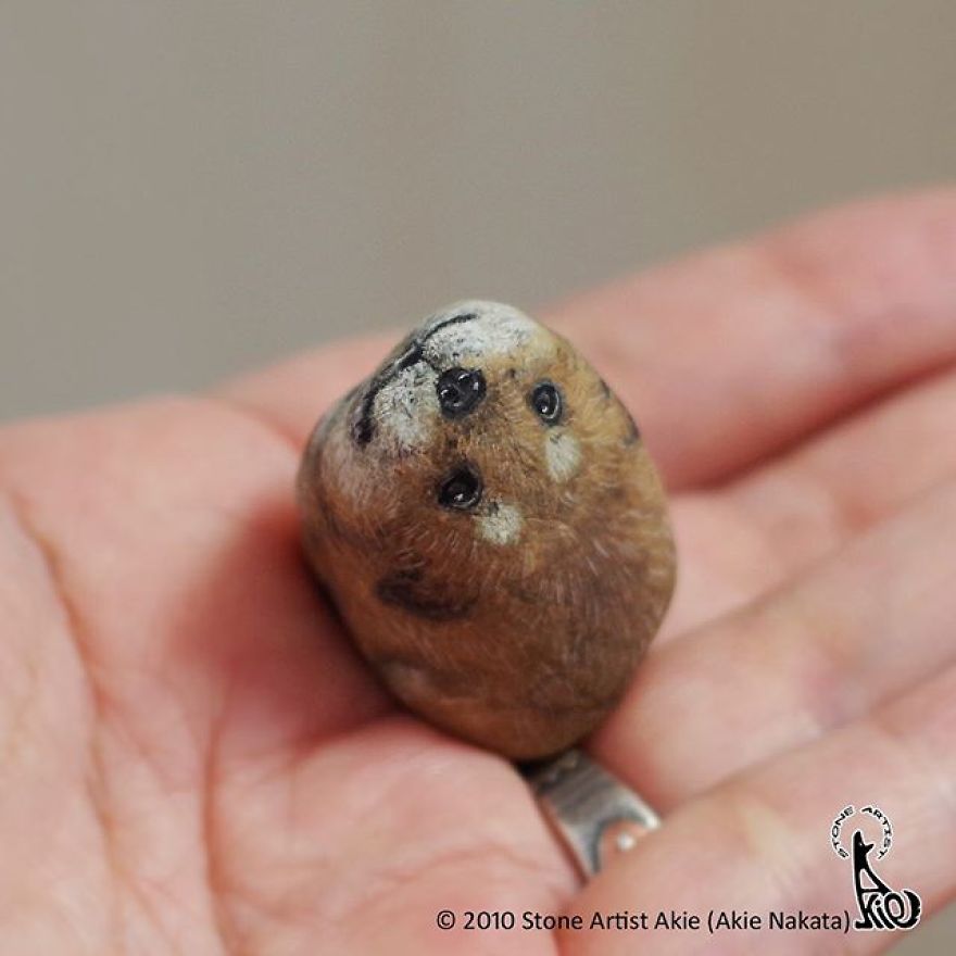This Japanese Artist Turns Stones Into Art And The Result Is Incredible (New Pics)