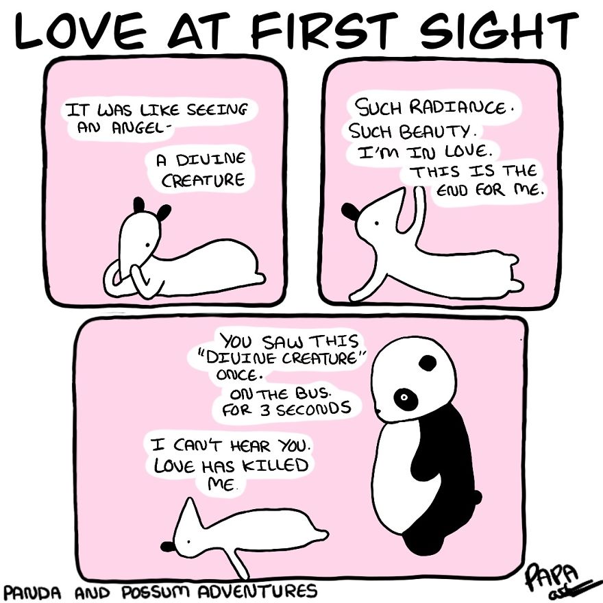 Panda And Possum Adventures- Webcomic