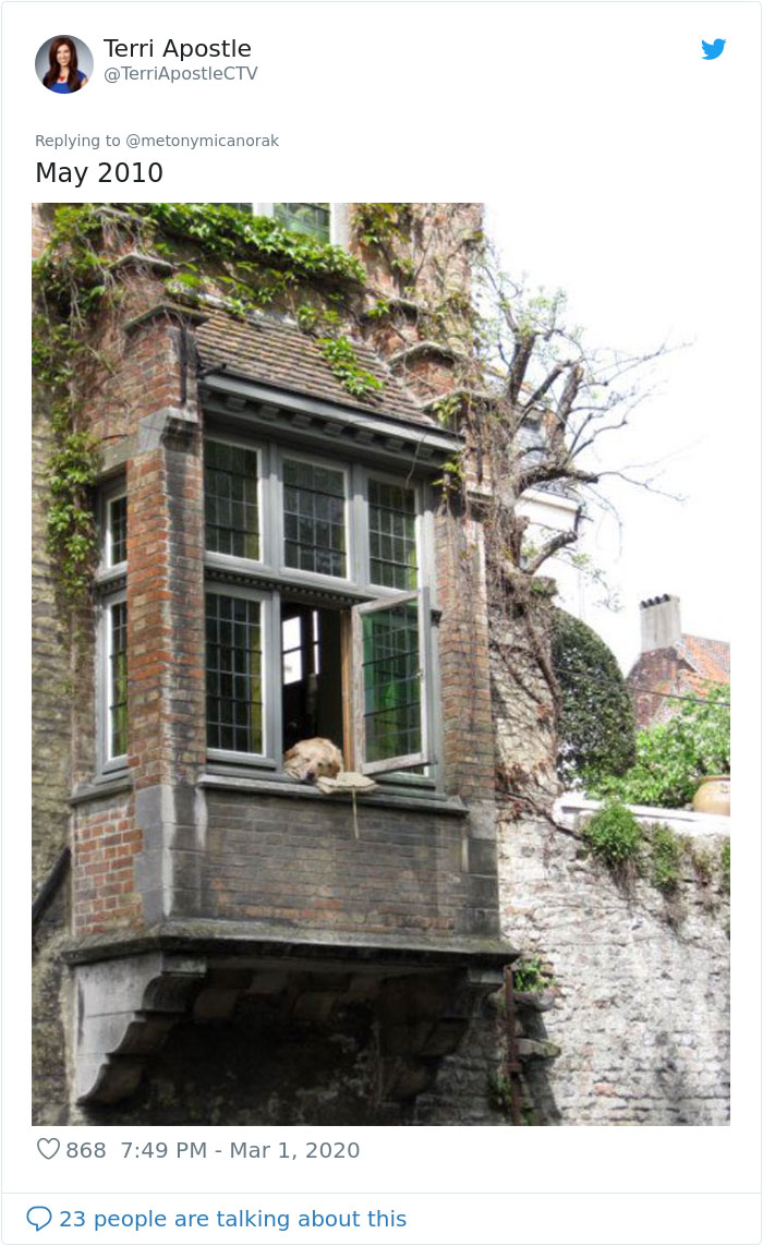 After 'The Most Photographed Dog In Bruges' Passes Away, People Are Sharing Photos Of Him Throughout The Years
