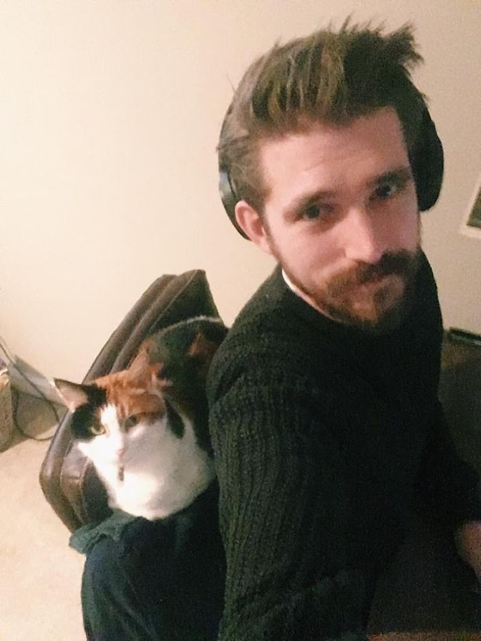 Couple Trick Their Super Clingy Cat By Creating A Fake Lap For Her To Sit On And She Loves It Couple Trick Their Super Clingy Cat By Creating A Fake Lap For Her To Sit On And She Loves It