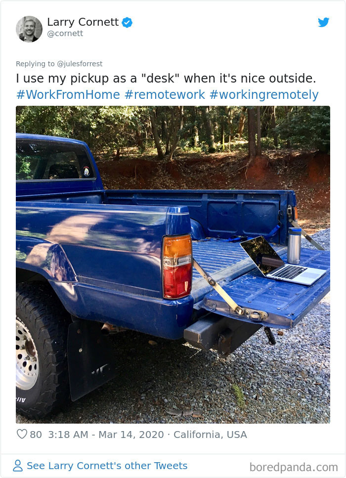 Blue pickup truck tailgate used as a makeshift desk with laptop and drink, showing realistic work from home setup outdoors.