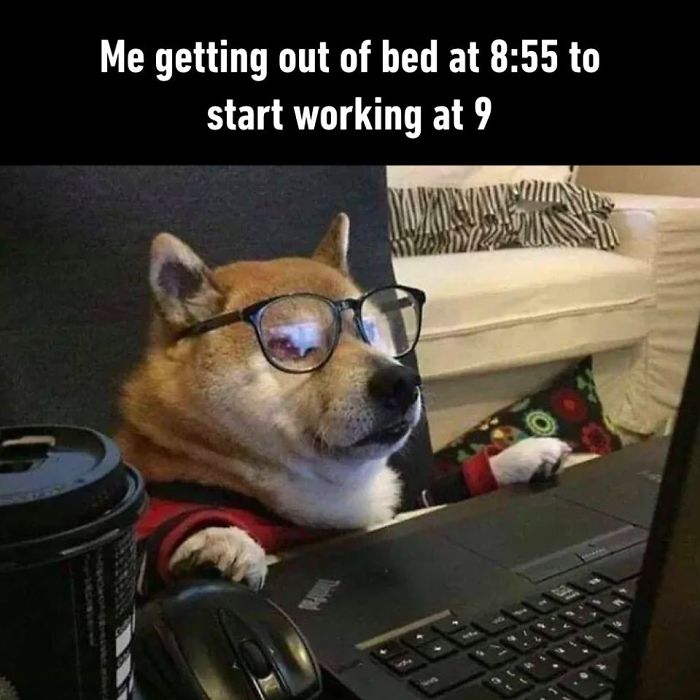 Meanwhile My Colleague Wakes Up At 6 To Work Out