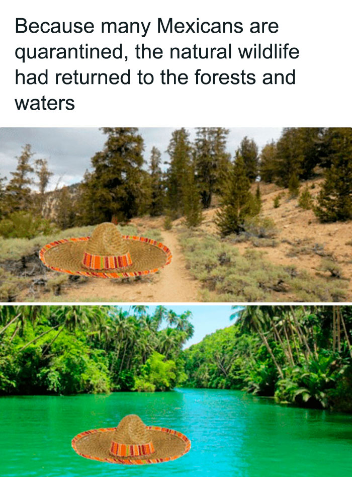 Nature-Healing-Quarantine-Jokes