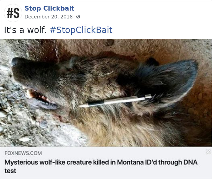 Stop-Clickbait-Funny-Headings