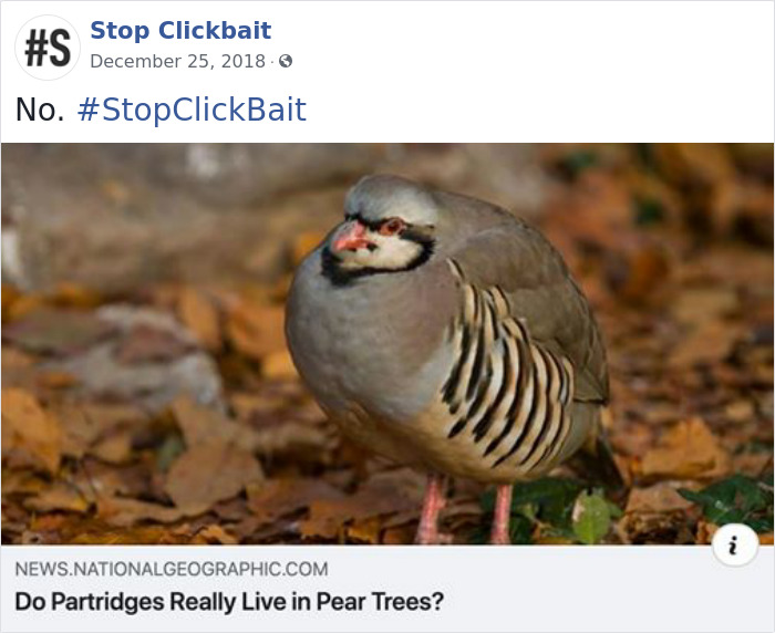 Stop-Clickbait-Funny-Headings