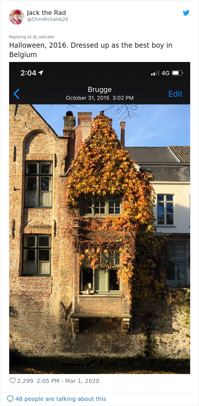 After 'The Most Photographed Dog In Bruges' Passes Away, People Are Sharing Photos Of Him Throughout The Years After 'The Most Photographed Dog In Bruges' Passes Away, People Are Sharing Photos Of Him Throughout The Years