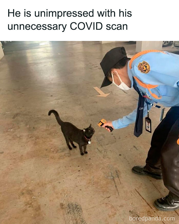 Coronavirus-Funny-Jokes