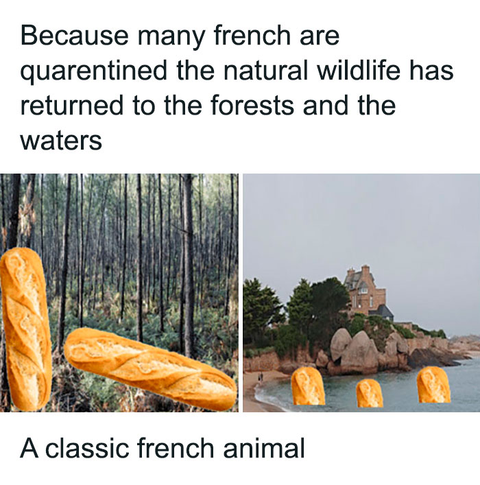 Nature-Healing-Quarantine-Jokes