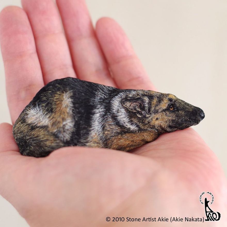 This Japanese Artist Turns Stones Into Art And The Result Is Incredible (New Pics)