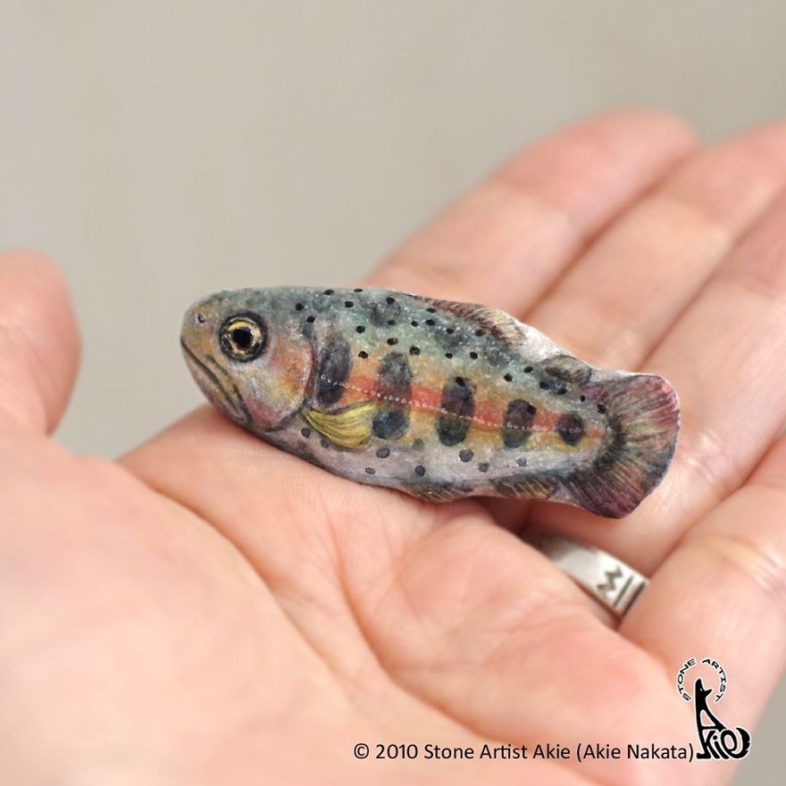 This Japanese Artist Turns Stones Into Art And The Result Is Incredible (New Pics)