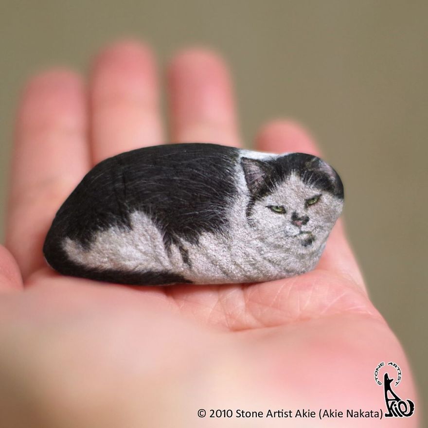 This Japanese Artist Turns Stones Into Art And The Result Is Incredible (New Pics)