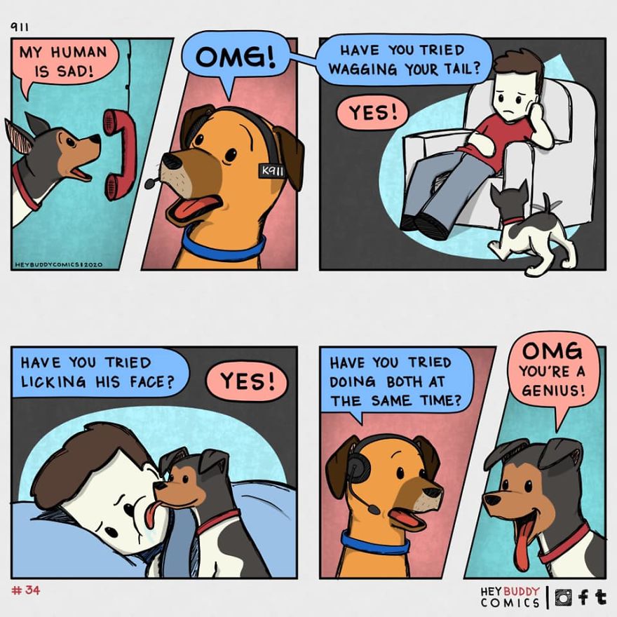 I Create Comics About My Dog That Most Dog Owners Will Relate To (11 New Pics)