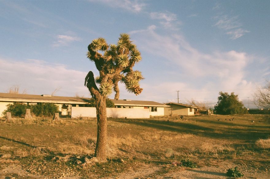 I'd Been Wanting To Photograph This Abandoned Air Force Base For A Long Time And I Finally Did (13 Pics)