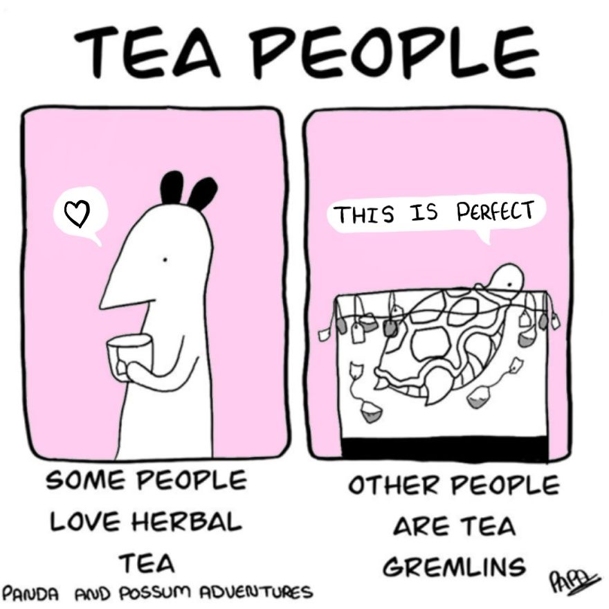 Panda And Possum Adventures- Webcomic