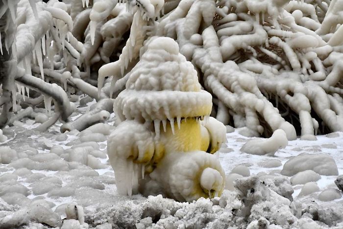 People's Homes Near Lake Erie Get Covered In Thick Ice, They Say It Looks Cool But It's A Nightmare To Live In People's Homes Near Lake Erie Get Covered In Thick Ice, They Say It Looks Cool But It's A Nightmare To Live In