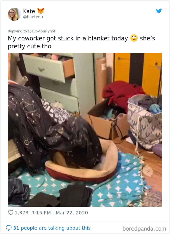 Working-From-Home-Quarantine-Pet-Co-Worker-Photos