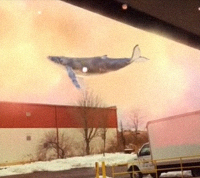 Nature-Healing-Quarantine-Jokes