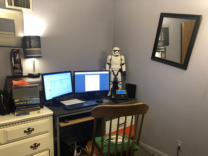 Normally I Have A Dog Coworker On Either Side.