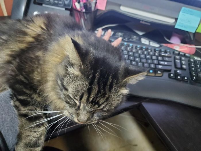 When Your Co-Worker Gives Zero F@$%s About Your Productivity Level...