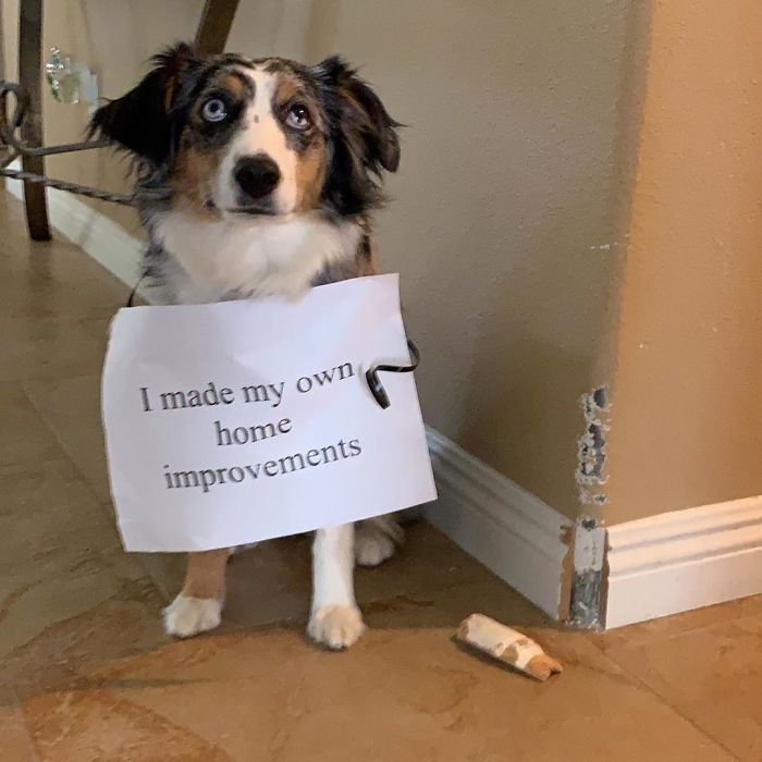 Kaia Is Sick Of This Quarantine As Well