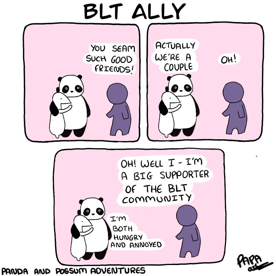 Panda And Possum Adventures- Webcomic