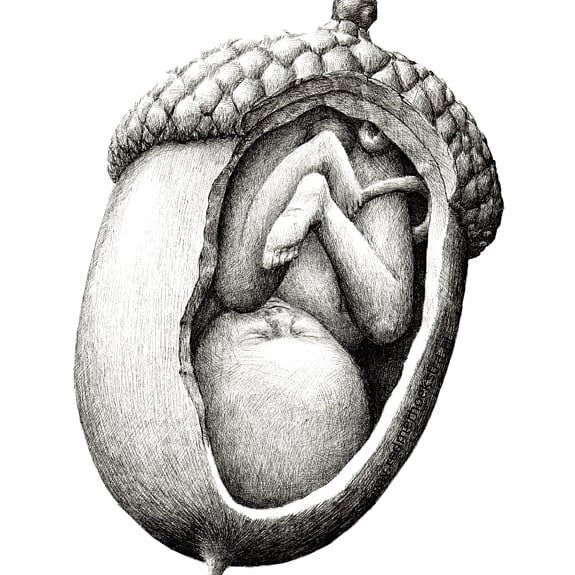 The Way My Mind Works