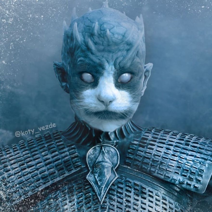 Funny-Animals-Photoshopped-Cats-Koty-Vezde