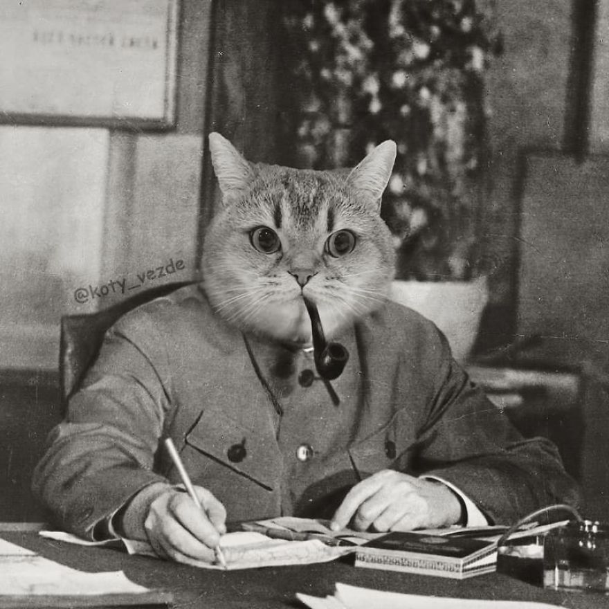 Funny-Animals-Photoshopped-Cats-Koty-Vezde.