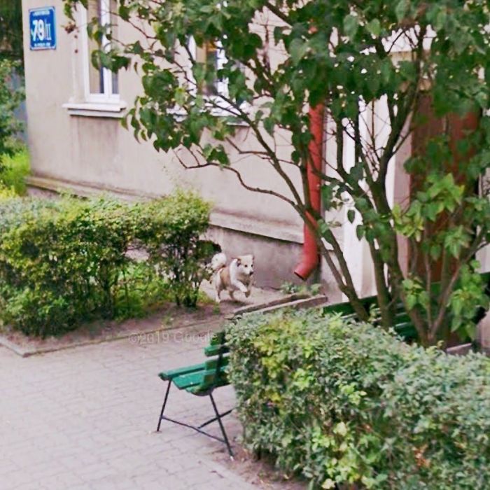 During Quarantine I Travel Around Poland Online And Find These Great Shots On Google Street View
