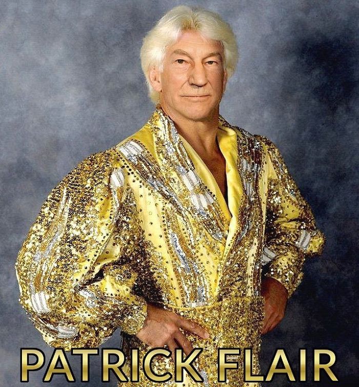 Patrick Stewart And Rick Flair