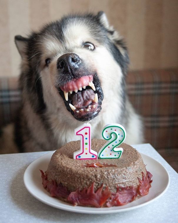 Grandma Yuna And Her Friendly Smile