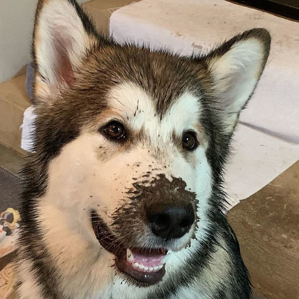 Did Someone Say Rain?