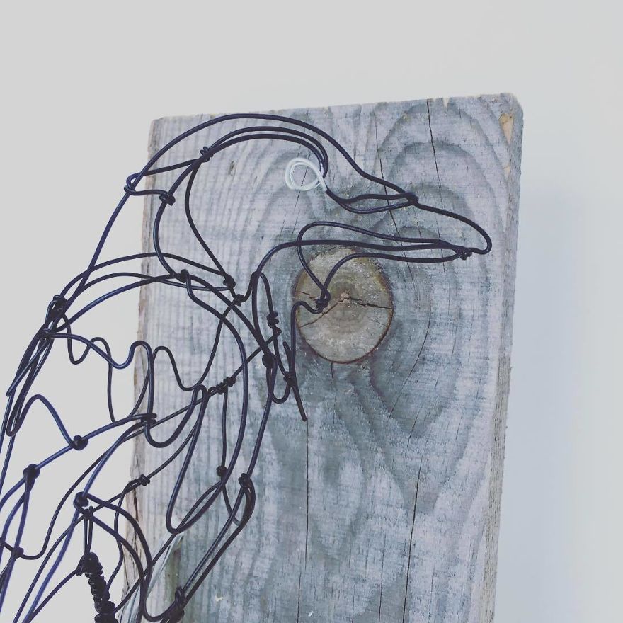 Need A Little Raven In Your Life?