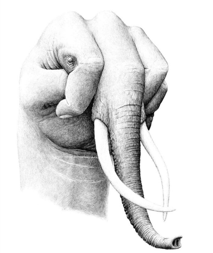 The Way My Mind Works