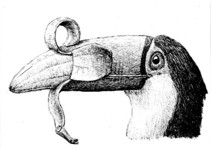 The Way My Mind Works