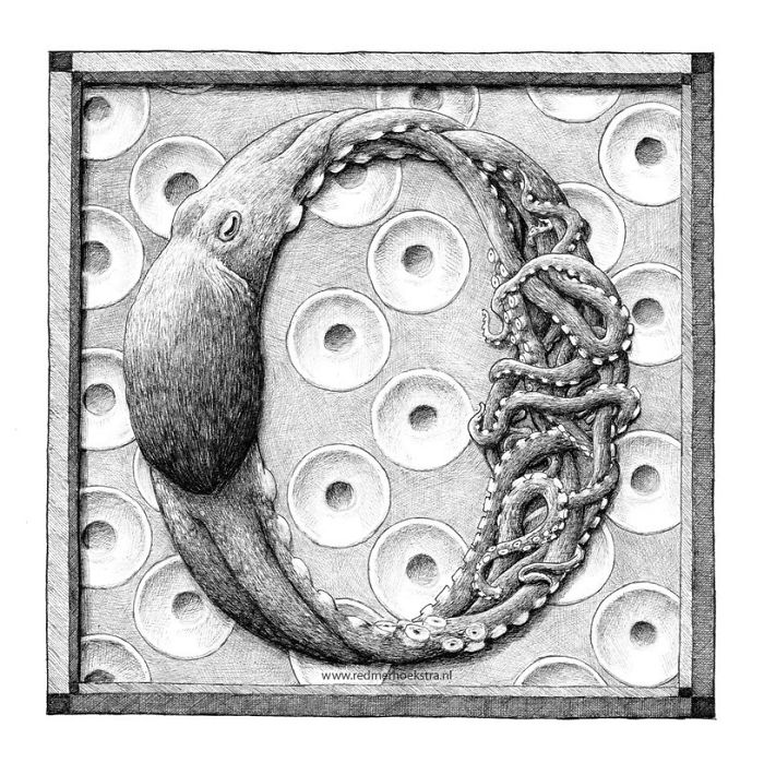 The Way My Mind Works