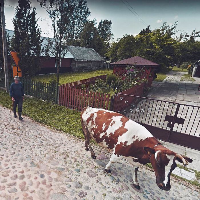 During Quarantine I Travel Around Poland Online And Find These Great Shots On Google Street View