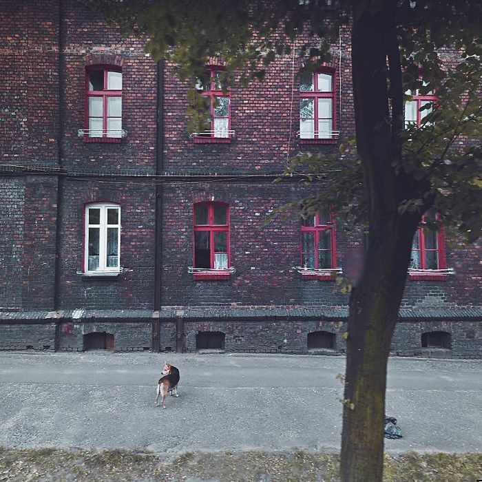 During Quarantine I Travel Around Poland Online And Find These Great Shots On Google Street View