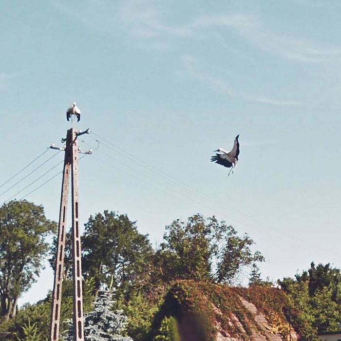 During Quarantine I Travel Around Poland Online And Find These Great Shots On Google Street View