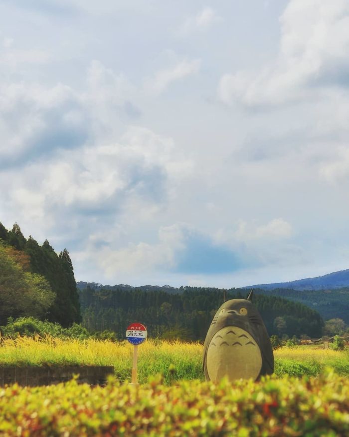 Elderly Couple Recreated A Totoro Bus Stop In Real Life