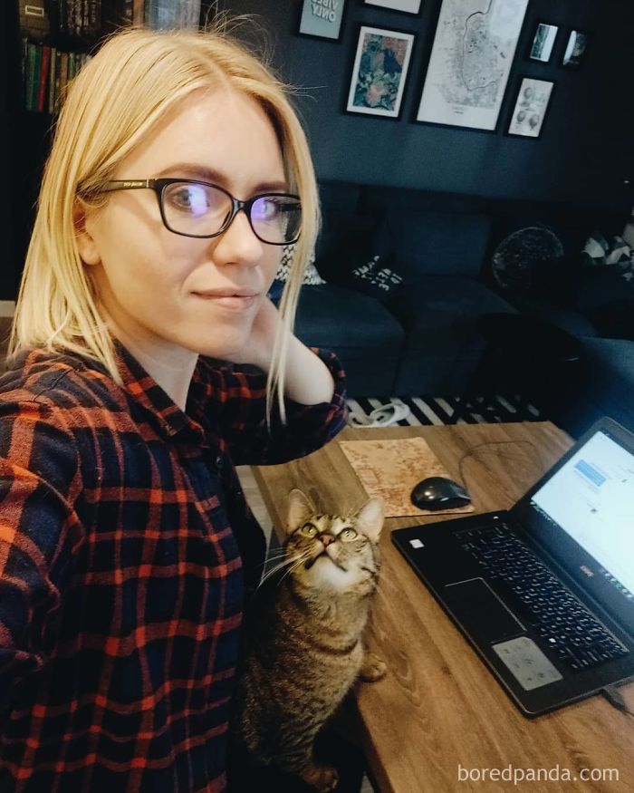 Pet-Coworkers-Quarantine