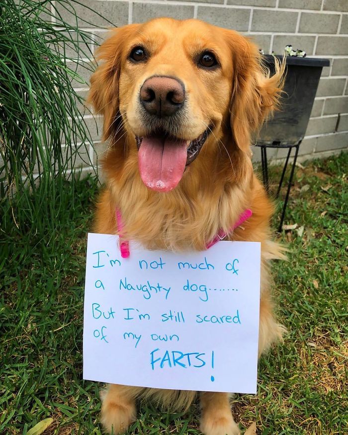 I Don’t Fart Often, But When I Do...