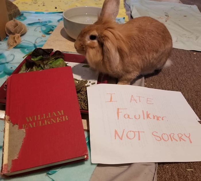 Ouch, This One Hurts