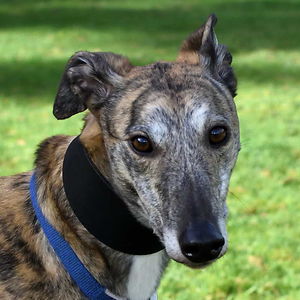 gracesmith2007 avatar