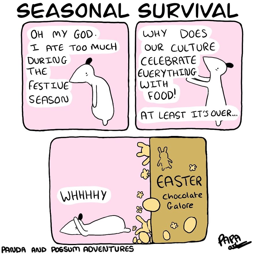 Panda And Possum Adventures- Webcomic